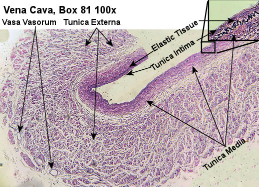 Labeled image from labbook