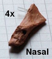 Nasal